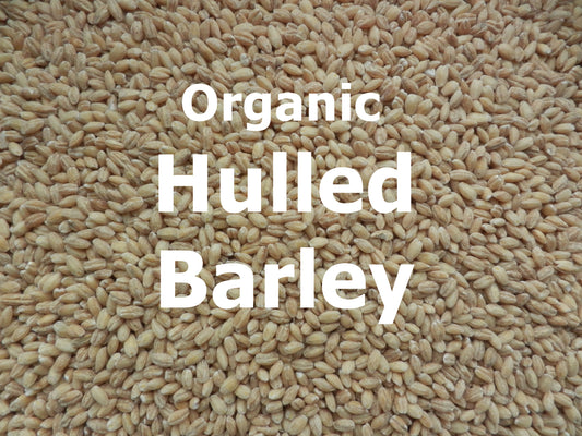 Organic Hulled Barley